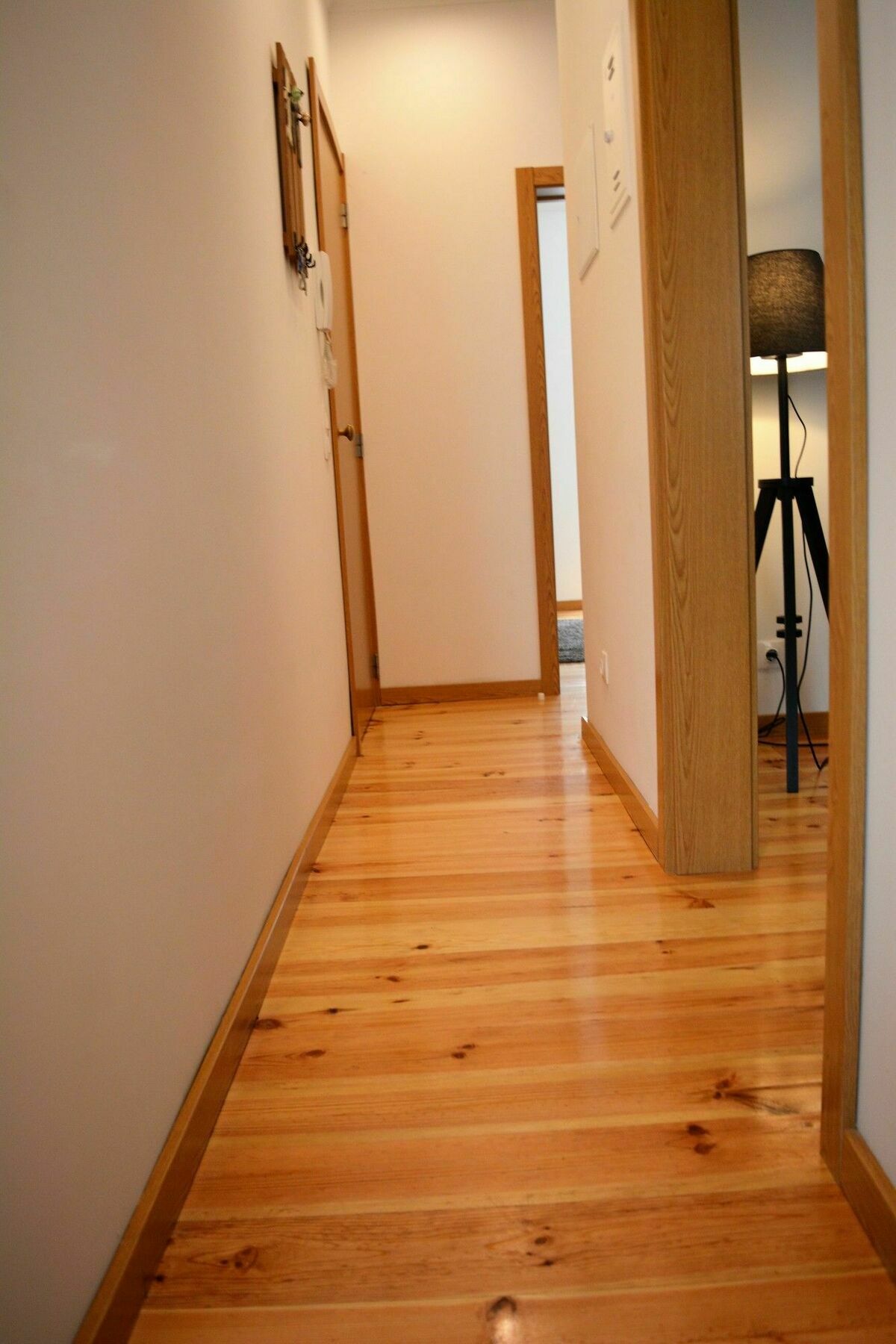 Almirante Deluxe By Homing *